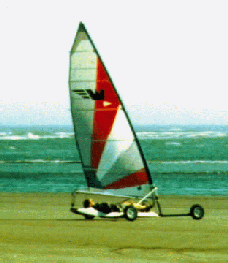 The Beachcomber